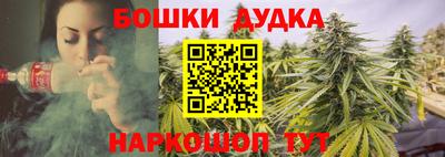 крисы Канаш