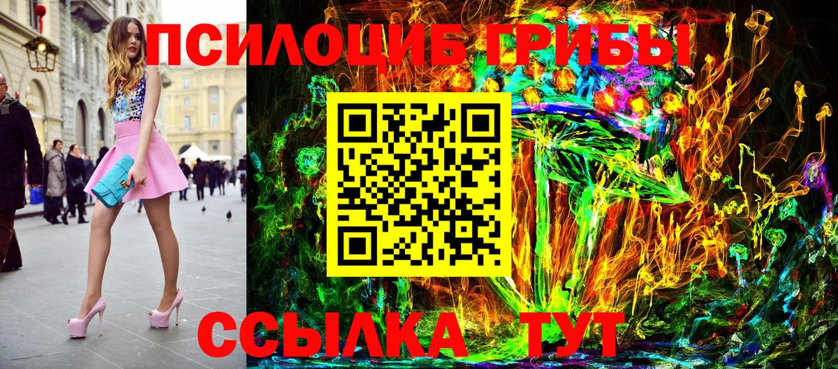 Псилоцибиновые грибы Cubensis Майкоп